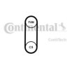 CONTITECH 4PK711 ELAST V-Ribbed Belts